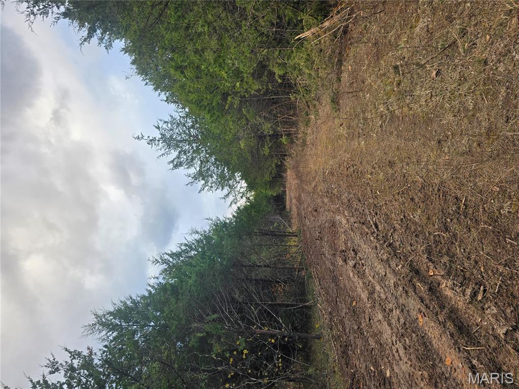 30 Acres Highway Cadet, MO 63630 - Photo 79 of 79