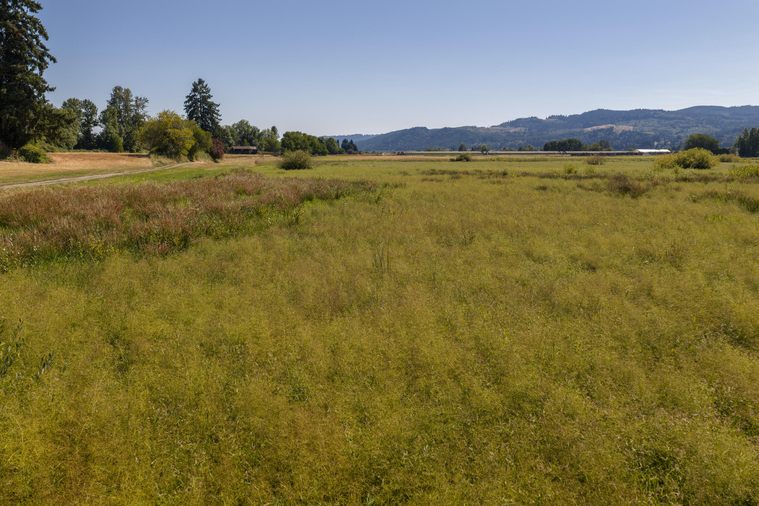 0 Duck Club Scappoose, OR 97056 - Photo 9 of 33