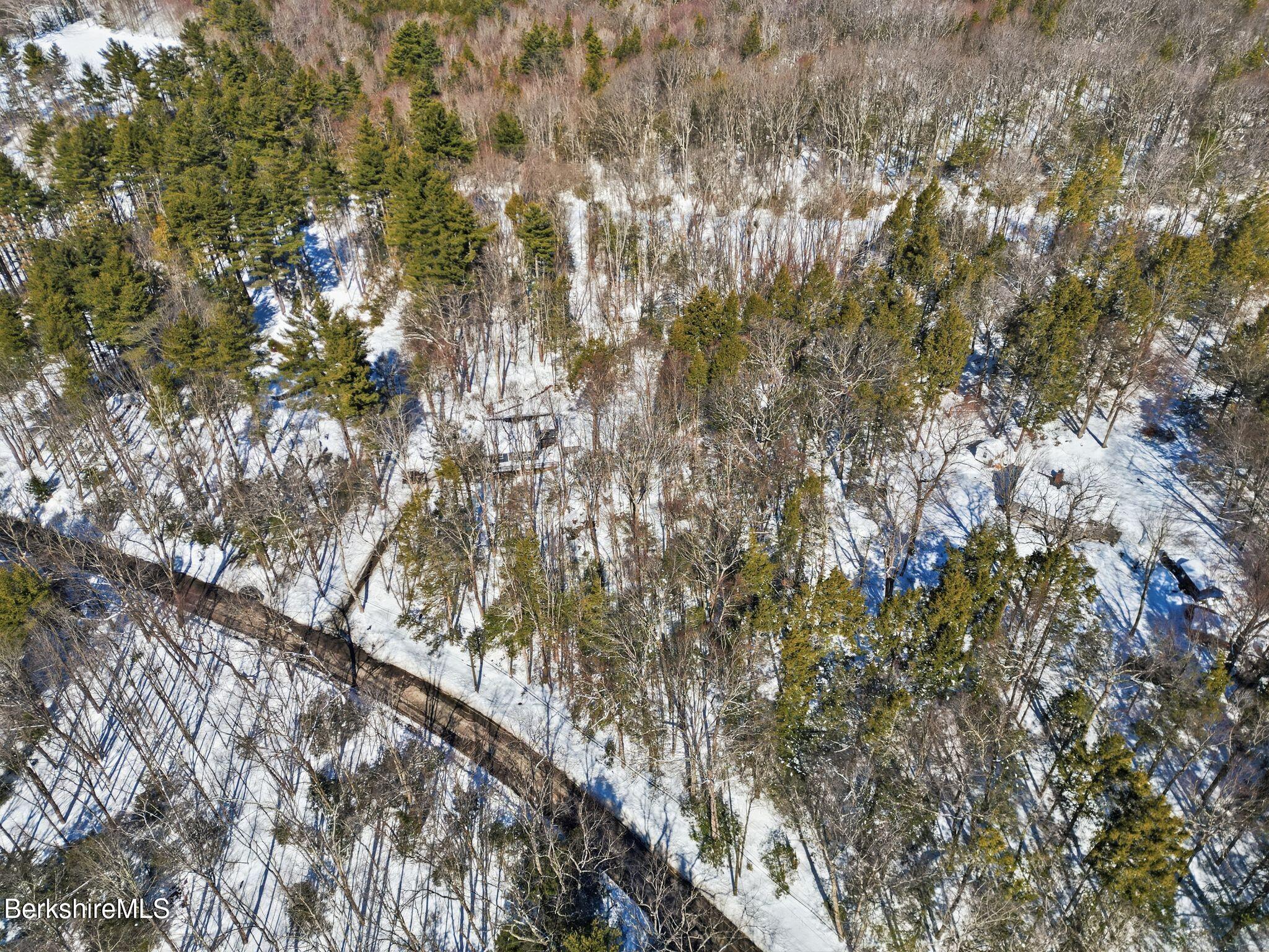 30 Gore Road Blandford, MA 01008 - Photo 50 of 61 a view of tree
