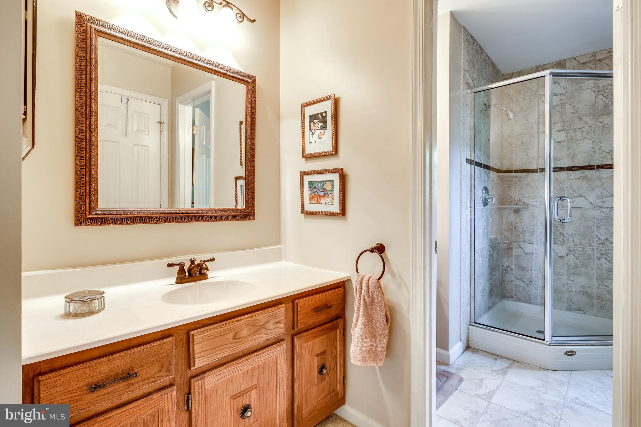 5300 Durham Road East Columbia, MD 21044 - Photo 24 of 51 Primary Bath