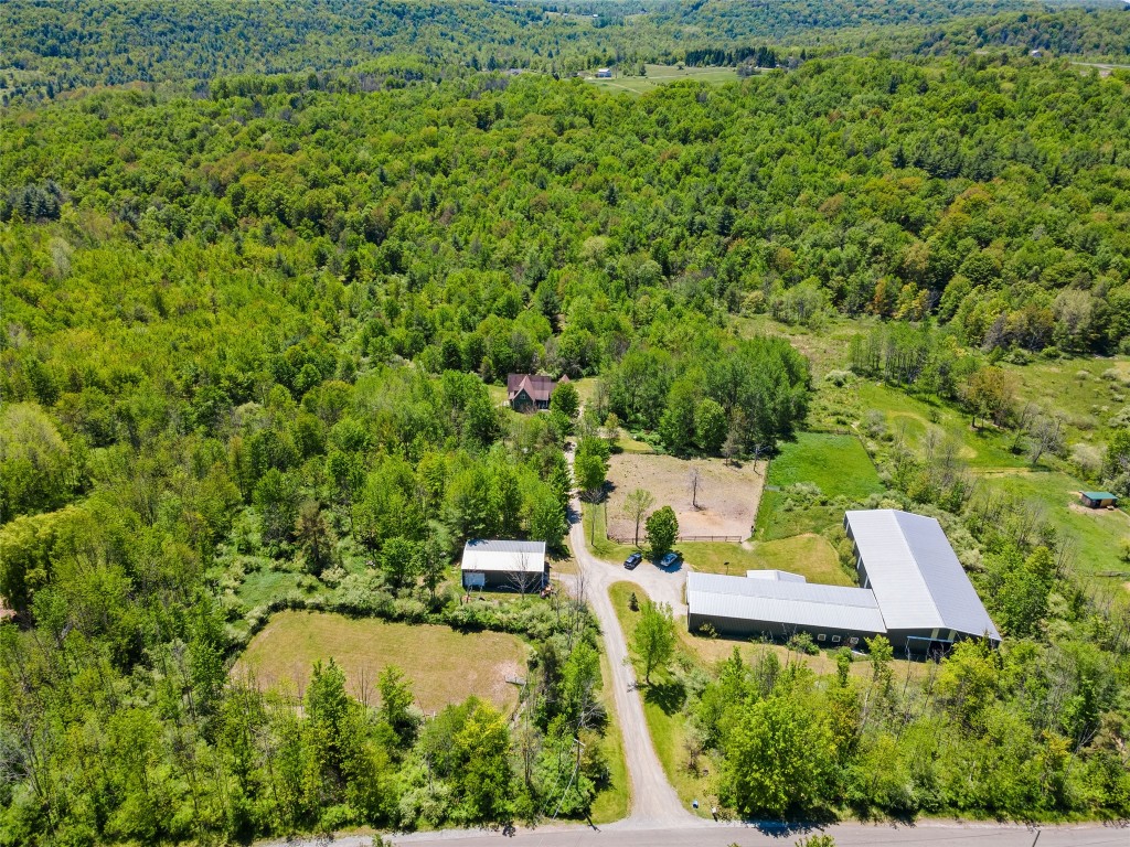 139 Nelson Road Vestal, NY 13850 - Photo 44 of 45