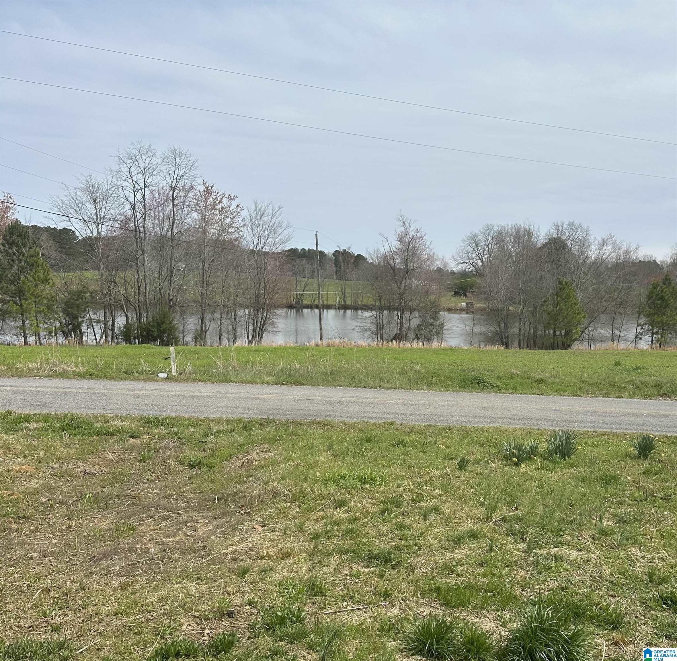 3825 County Road 715 Cullman, AL 35055 - Photo 4 of 17
