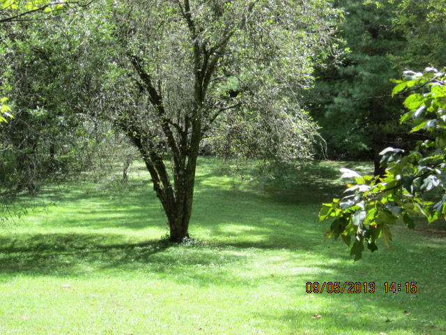 237 Brooks Road Maynardville, TN 37807 - Photo 31 of 40 237 Brooks Rd 037