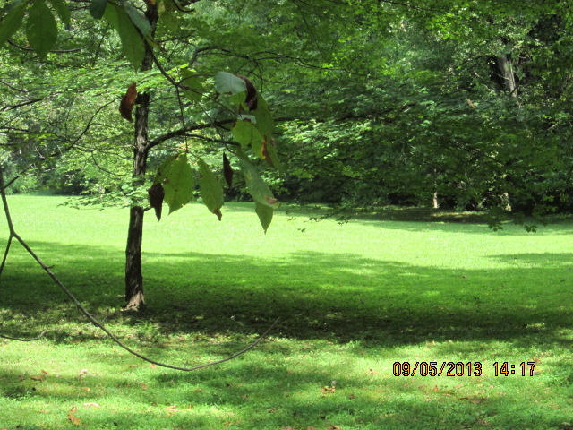 237 Brooks Road Maynardville, TN 37807 - Photo 36 of 40 237 Brooks Rd 042