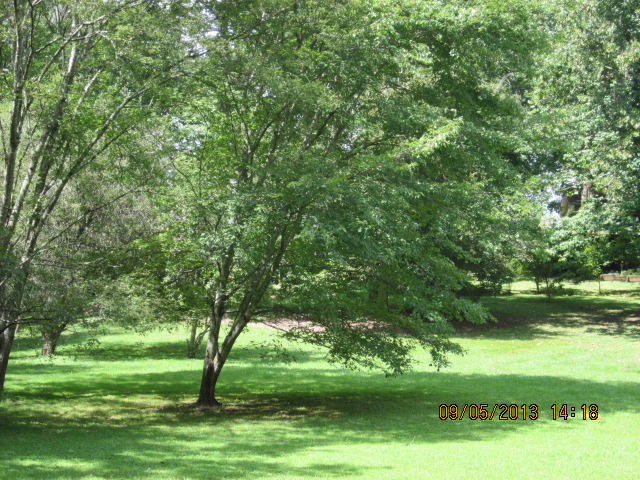 237 Brooks Road Maynardville, TN 37807 - Photo 37 of 40 237 Brooks Rd 045