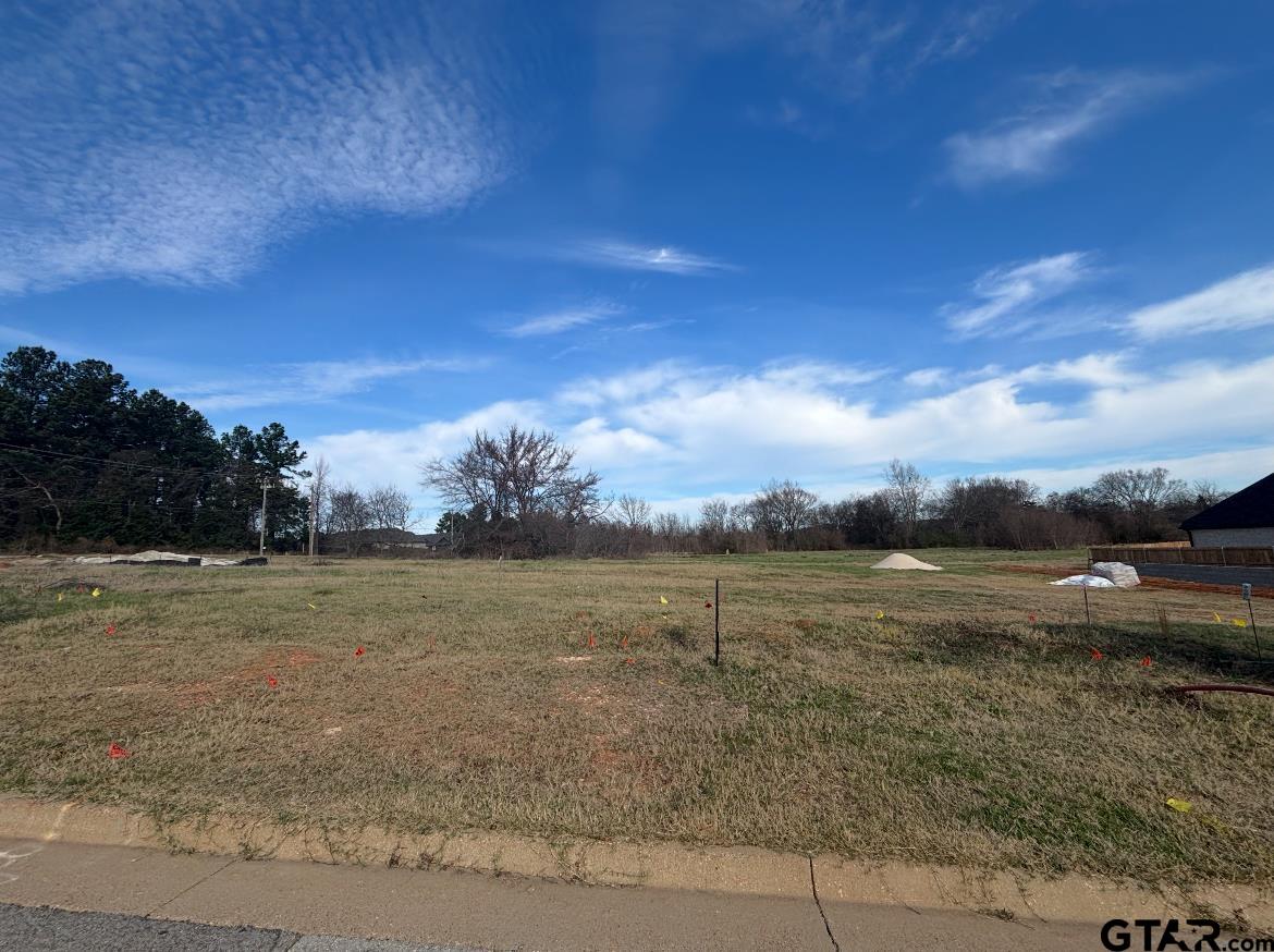 a view of an ocean beach