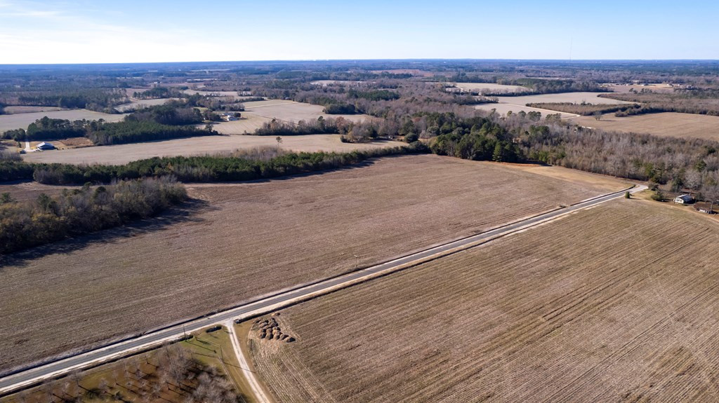 2400 Ike Brunson Road Alcolu, SC 29001 - Photo 12 of 19 Gallery Image 12