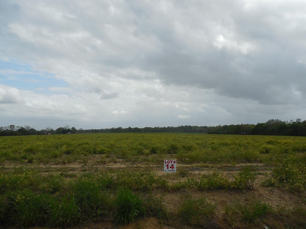 4.1 Acres Dothan Al Dothan, AL 36301 - Photo 1 of 1