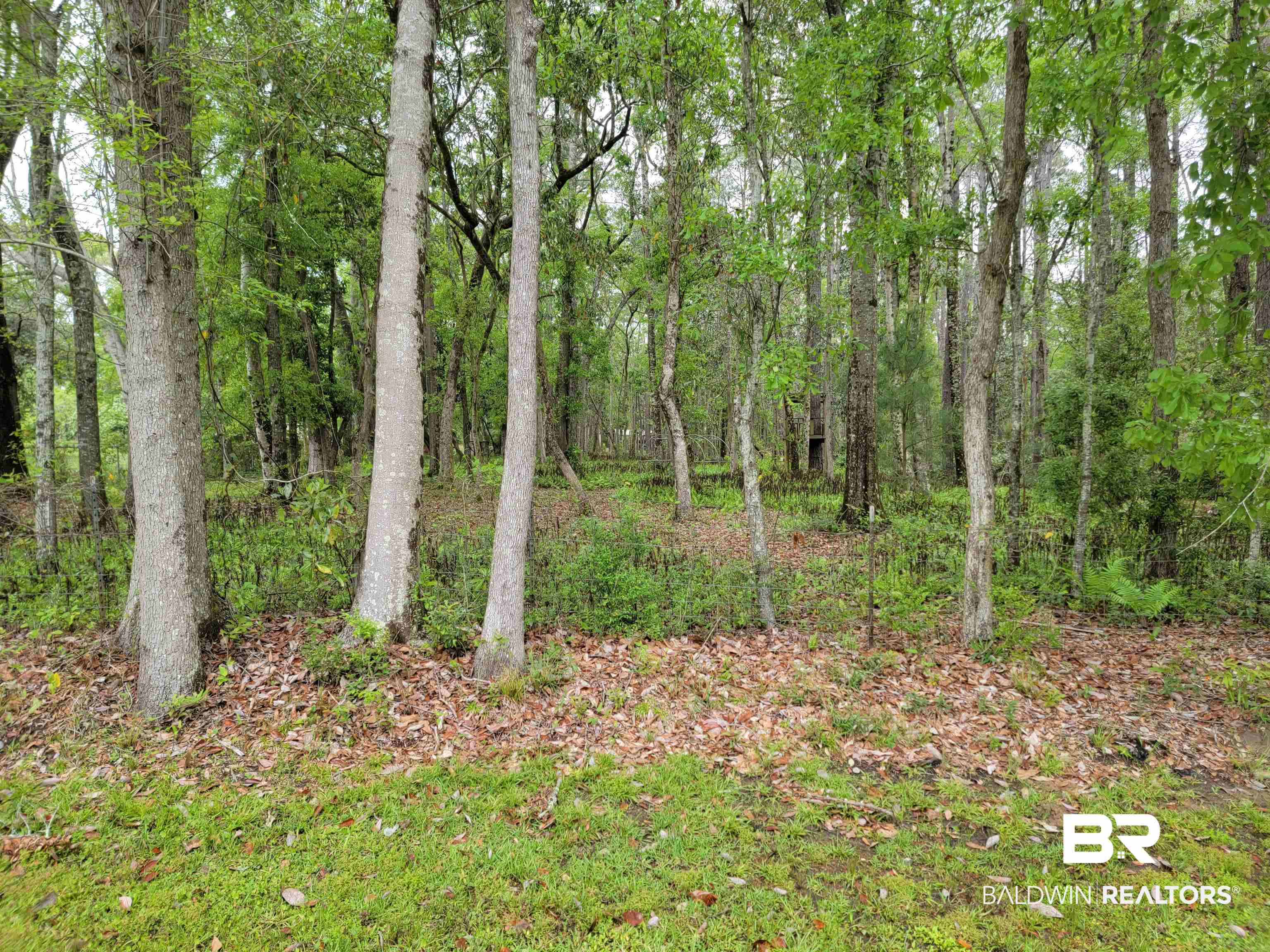 10 County Road Foley, AL 36535 - Photo 1 of 17 Gallery Image 1