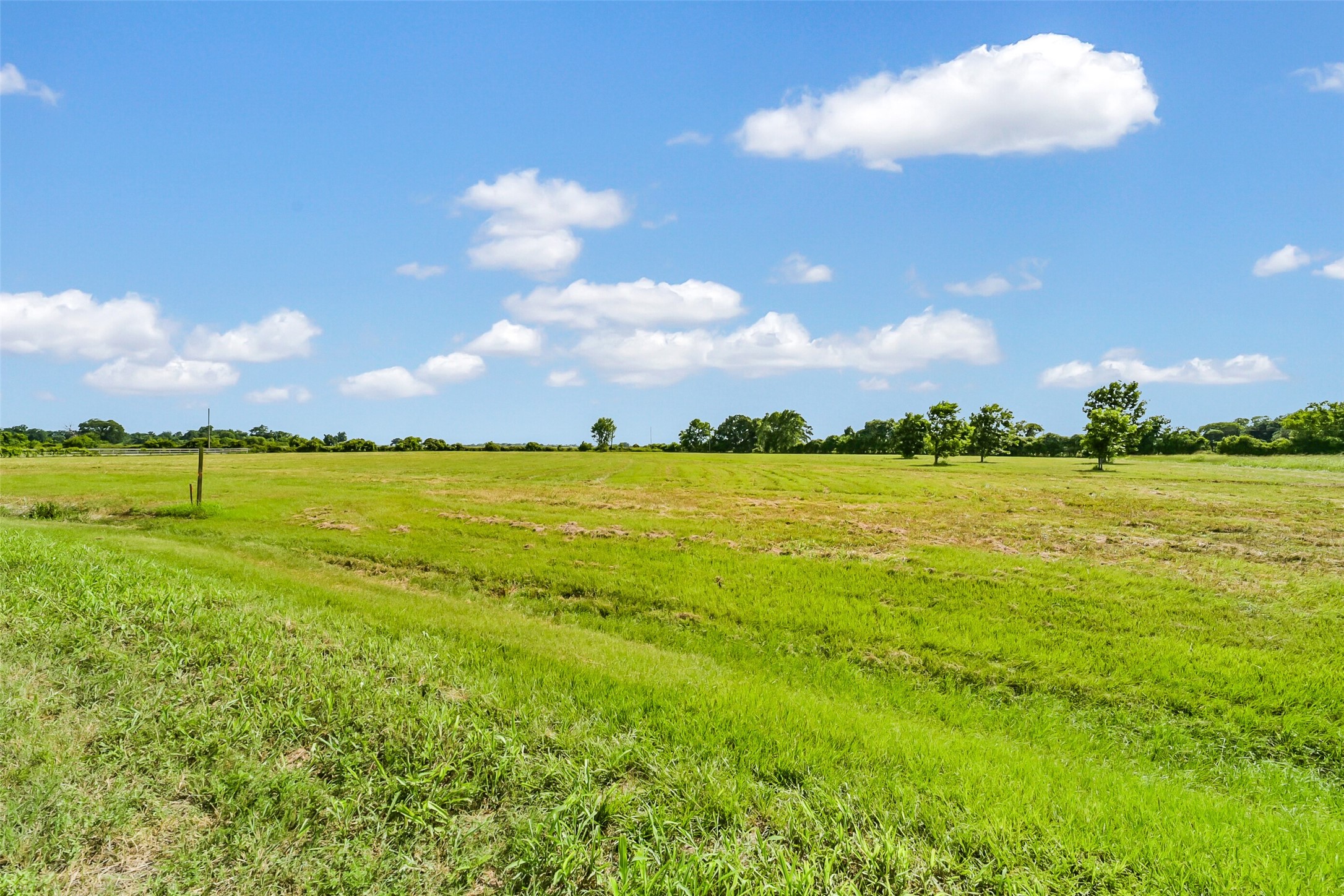 17210 Dewberry Lane Rosharon, TX 77583 - Photo 9 of 12