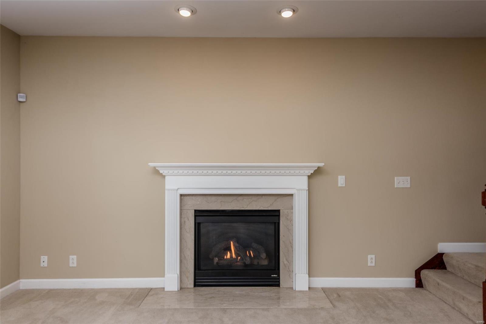 1113 Red Hawk Ridge Lane O'Fallon, IL 62269 - Photo 19 of 73 Gallery Image 19