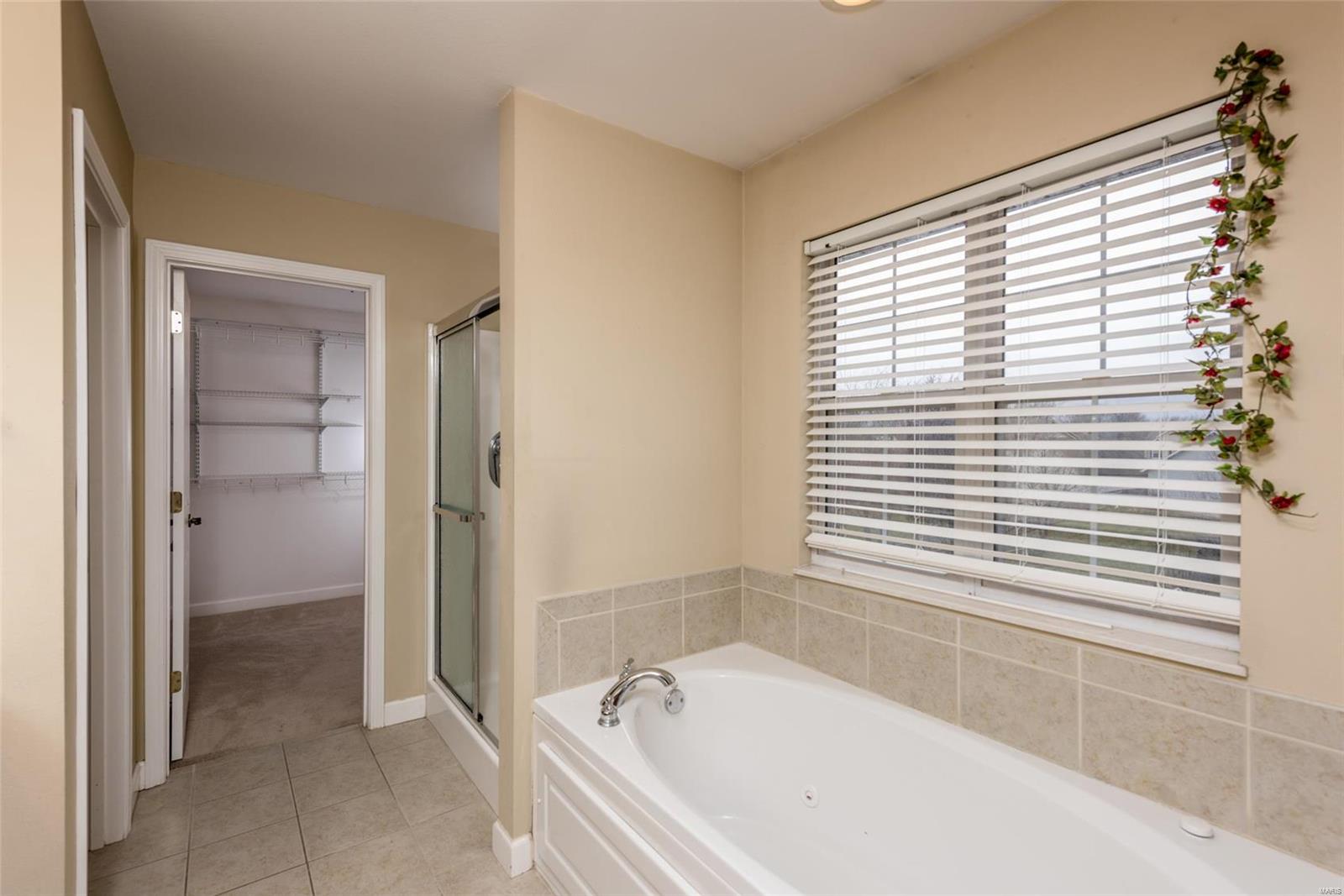 1113 Red Hawk Ridge Lane O'Fallon, IL 62269 - Photo 61 of 73 Gallery Image 61