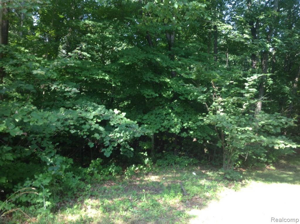 3219 Marathon Road Columbiaville, MI 48421 - Photo 29 of 39 30.jpg
