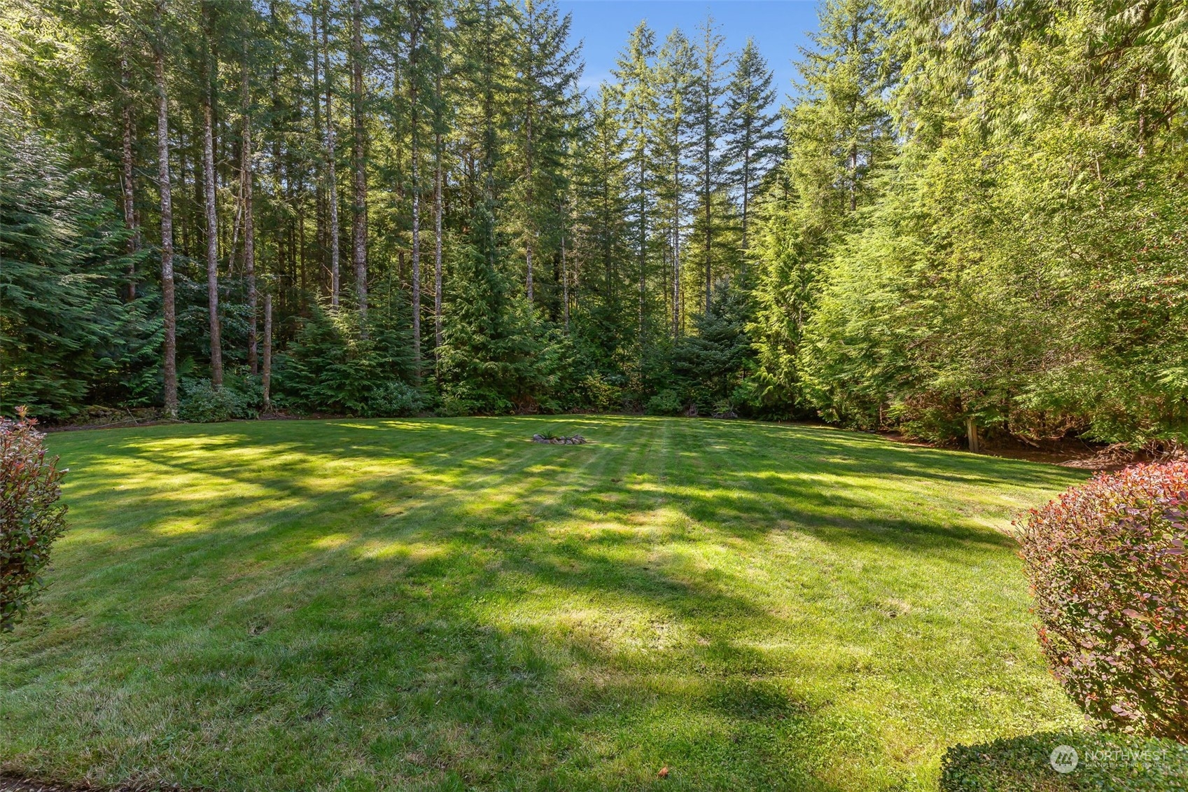 11227 Upper Preston Road Southeast Issaquah, WA 98027 - Photo 22 of 27 a view of a yard with a trees