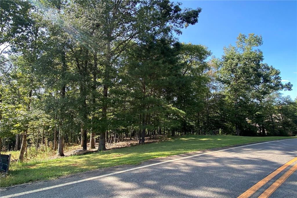 102 Forest Place Forsyth, GA 31029 - Photo 3 of 6