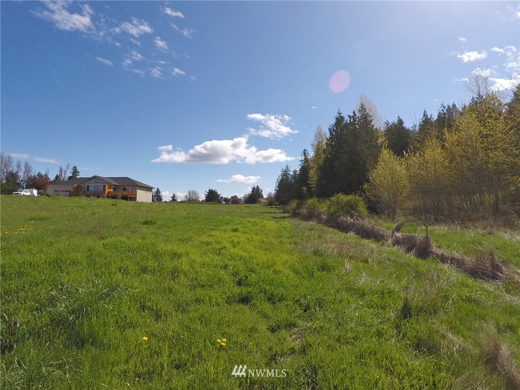 19 Morgision Loop Sequim, WA 98382 - Photo 14 of 23