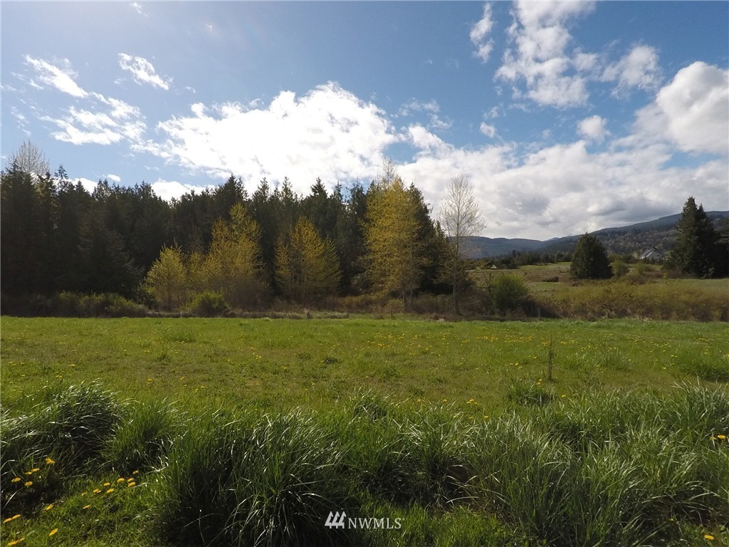 19 Morgision Loop Sequim, WA 98382 - Photo 6 of 23