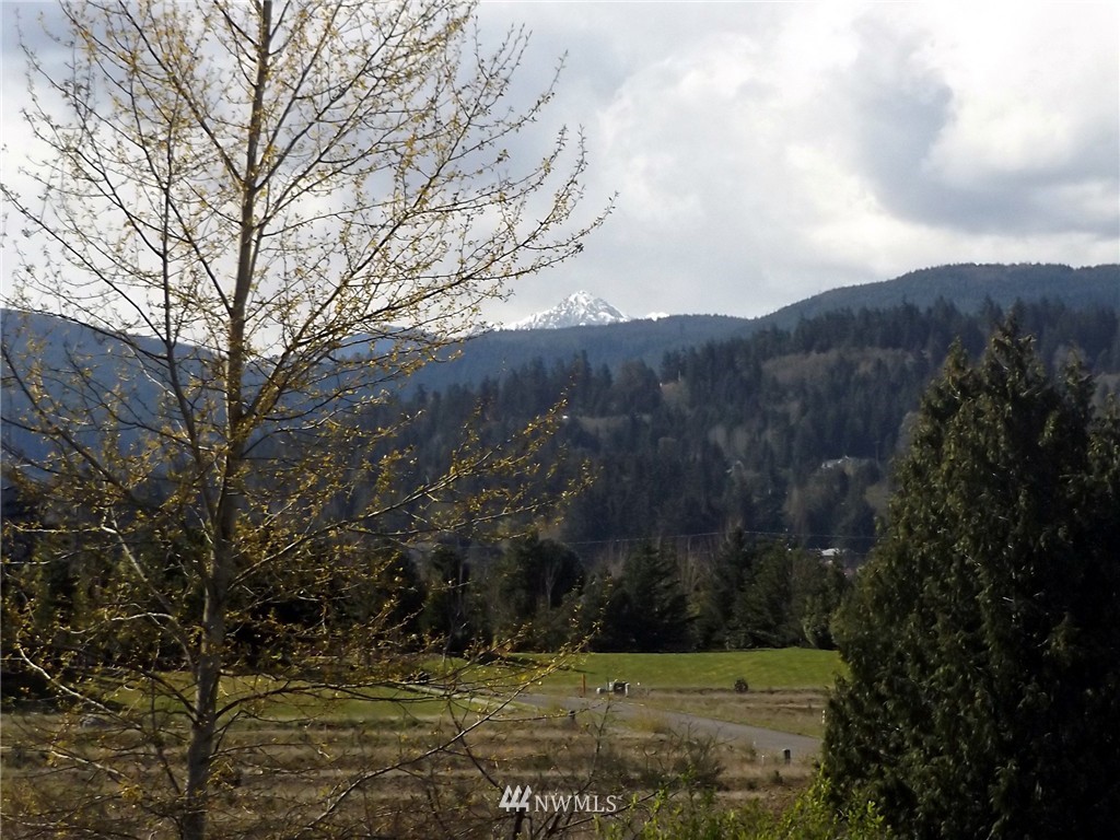 19 Morgision Loop Sequim, WA 98382 - Photo 7 of 23