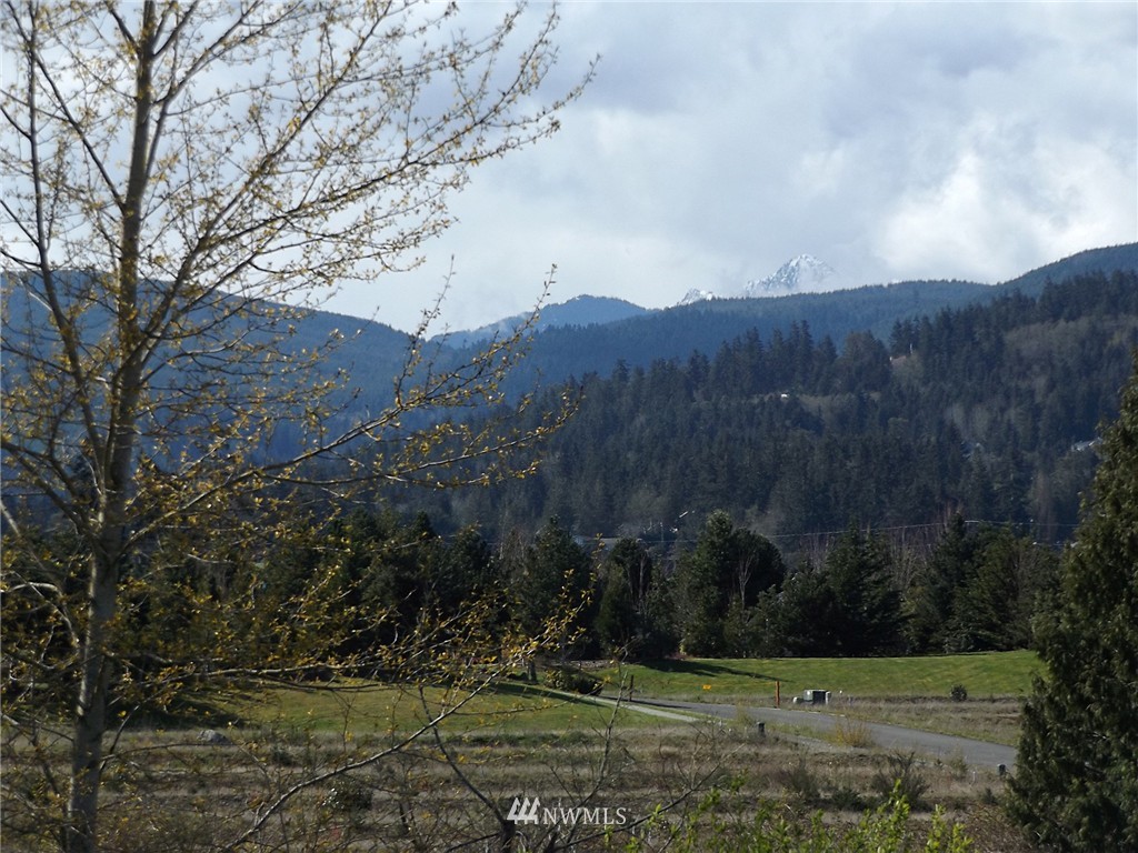 19 Morgision Loop Sequim, WA 98382 - Photo 9 of 23