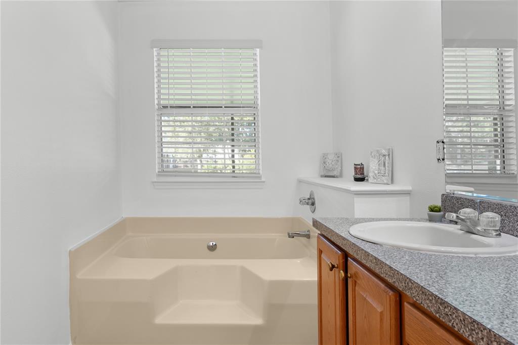 20107 Starry Street Orlando, FL 32833 - Photo 22 of 59 a bathroom with a granite countertop tub sink and mirror