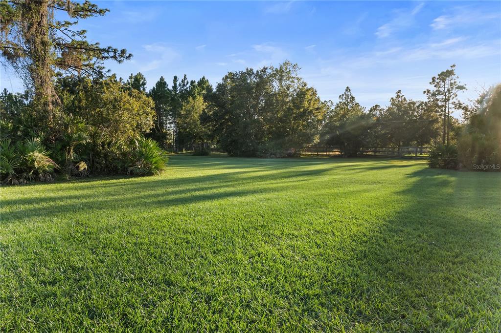20107 Starry Street Orlando, FL 32833 - Photo 31 of 59 a view of a golf course