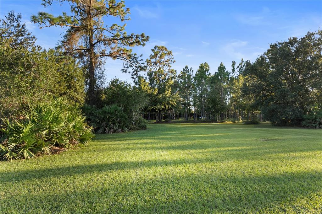 20107 Starry Street Orlando, FL 32833 - Photo 33 of 59