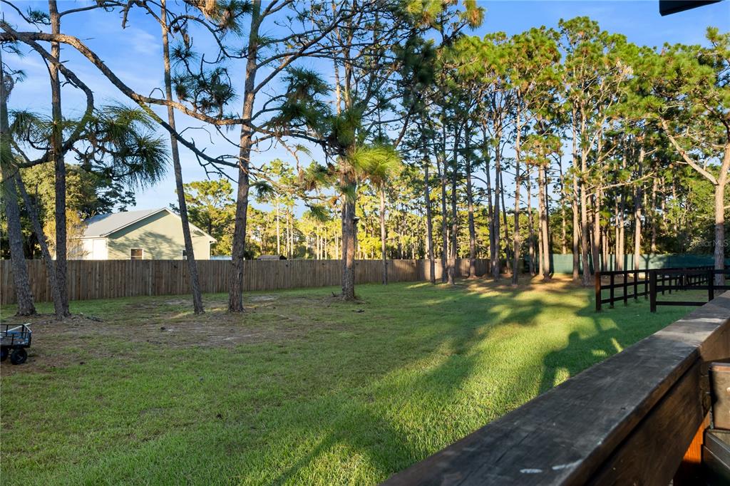 20107 Starry Street Orlando, FL 32833 - Photo 42 of 59 a view of park space