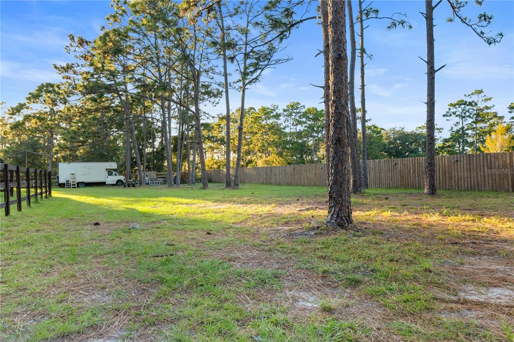 20107 Starry Street Orlando, FL 32833 - Photo 48 of 59 a view of a house with a yard