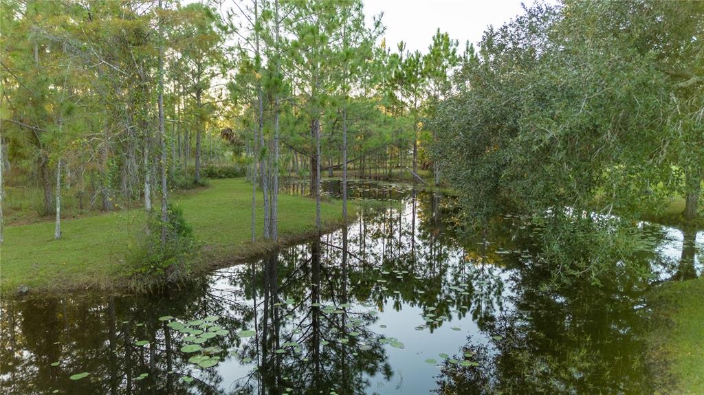 20107 Starry Street Orlando, FL 32833 - Photo 51 of 59 a view of a lake with a tree
