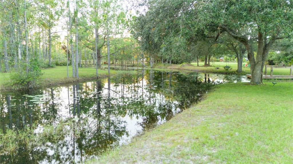 20107 Starry Street Orlando, FL 32833 - Photo 53 of 59