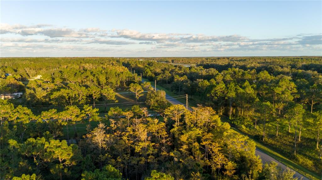 20107 Starry Street Orlando, FL 32833 - Photo 55 of 59