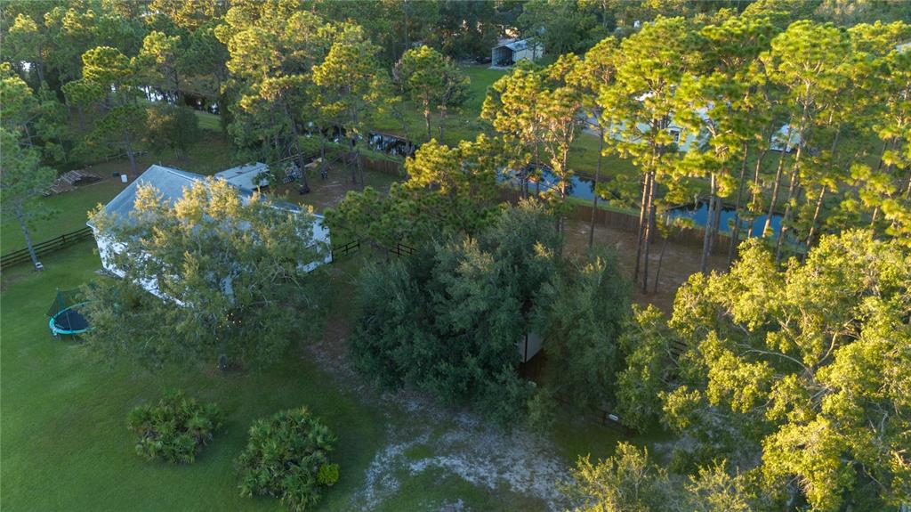 20107 Starry Street Orlando, FL 32833 - Photo 56 of 59 a view of a lake