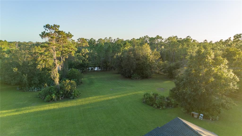 20107 Starry Street Orlando, FL 32833 - Photo 57 of 59 a view of a big yard