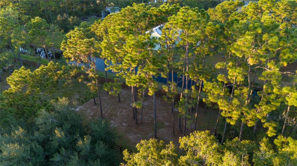 20107 Starry Street Orlando, FL 32833 - Photo 59 of 59