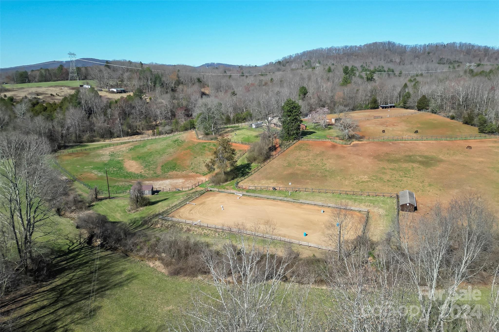 10845 Traphill Road Traphill, NC 28685 - Photo 3 of 48 a view of a dry yard with green space