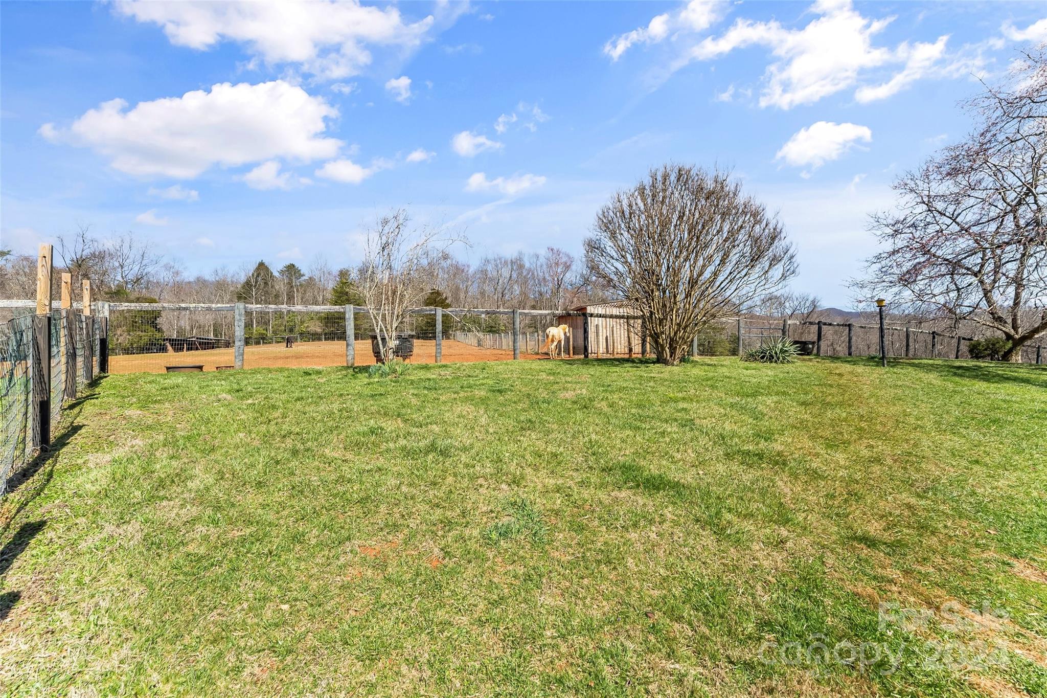 10845 Traphill Road Traphill, NC 28685 - Photo 35 of 48 a view of a basketball court