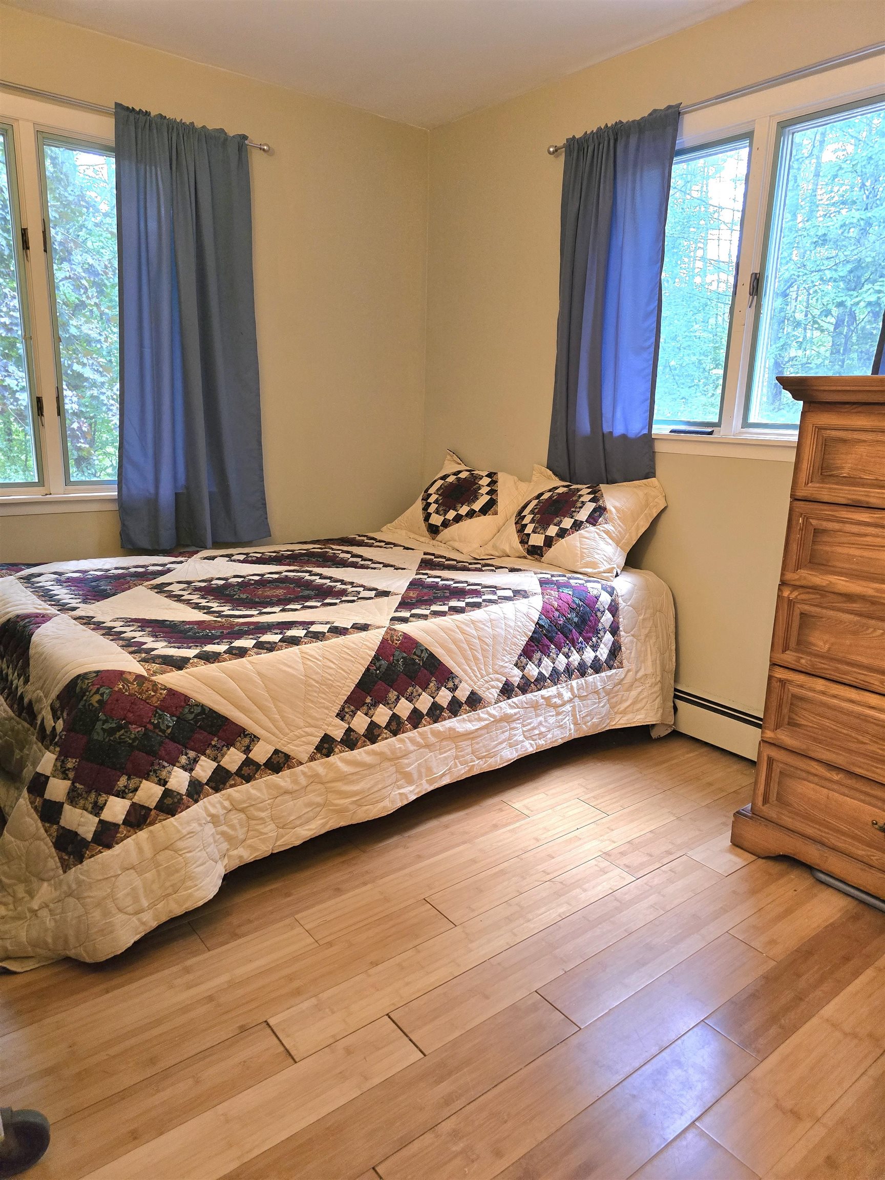 21 Wildwood Road Albany, NH 03818 - Photo 21 of 38 Gallery Image 21