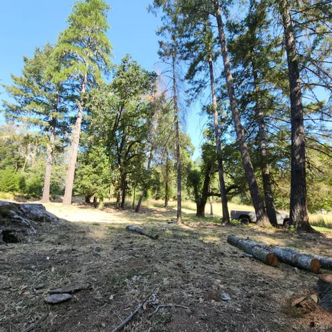 a view of dirt yard with a tree