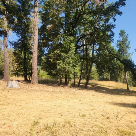 a view of a yard with trees