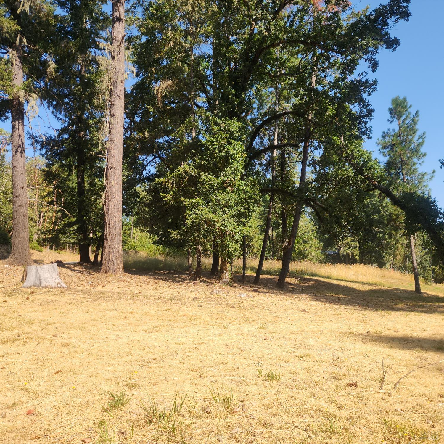 25331 Sherwood Road Willits, CA 95490 - Photo 12 of 13