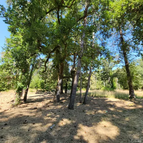 a view of outdoor space with trees