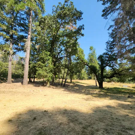 a view of road and trees