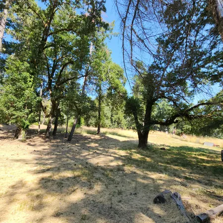 a view of a yard with an trees