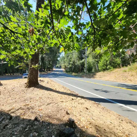 a view of a yard with large trees