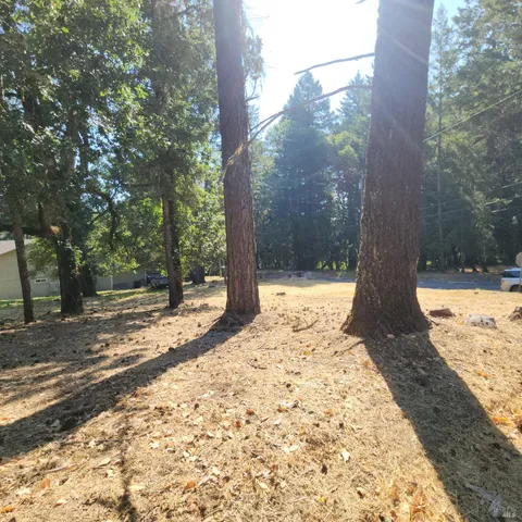 a view of a backyard with large trees