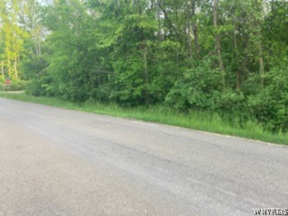 Road View