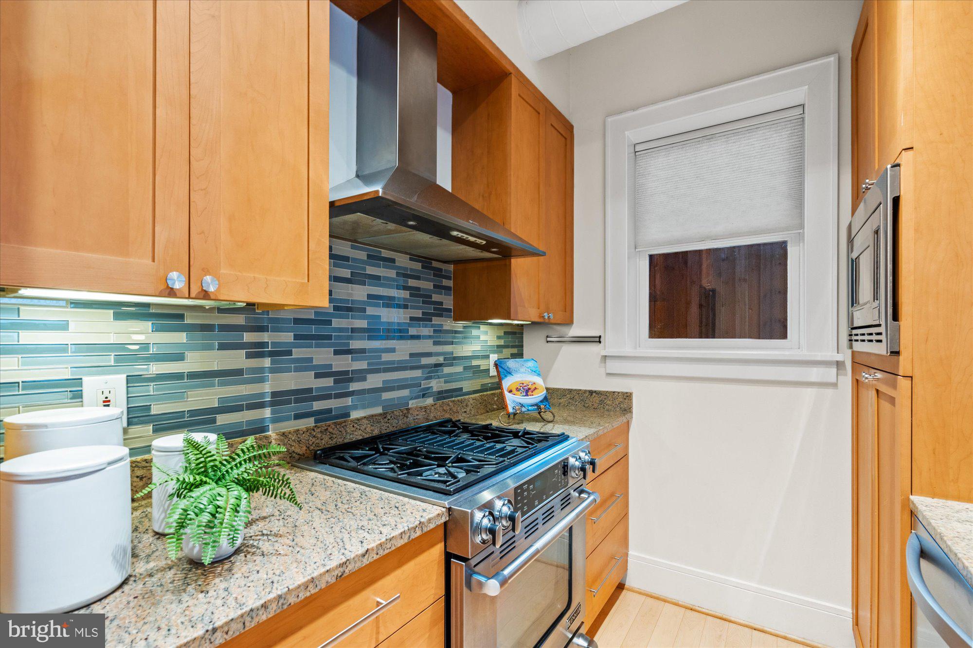 1817 Swann Street Northwest, Unit B Washington, DC 20009 - Photo 9 of 34 a kitchen with stainless steel appliances granite countertop a stove a sink and a microwave