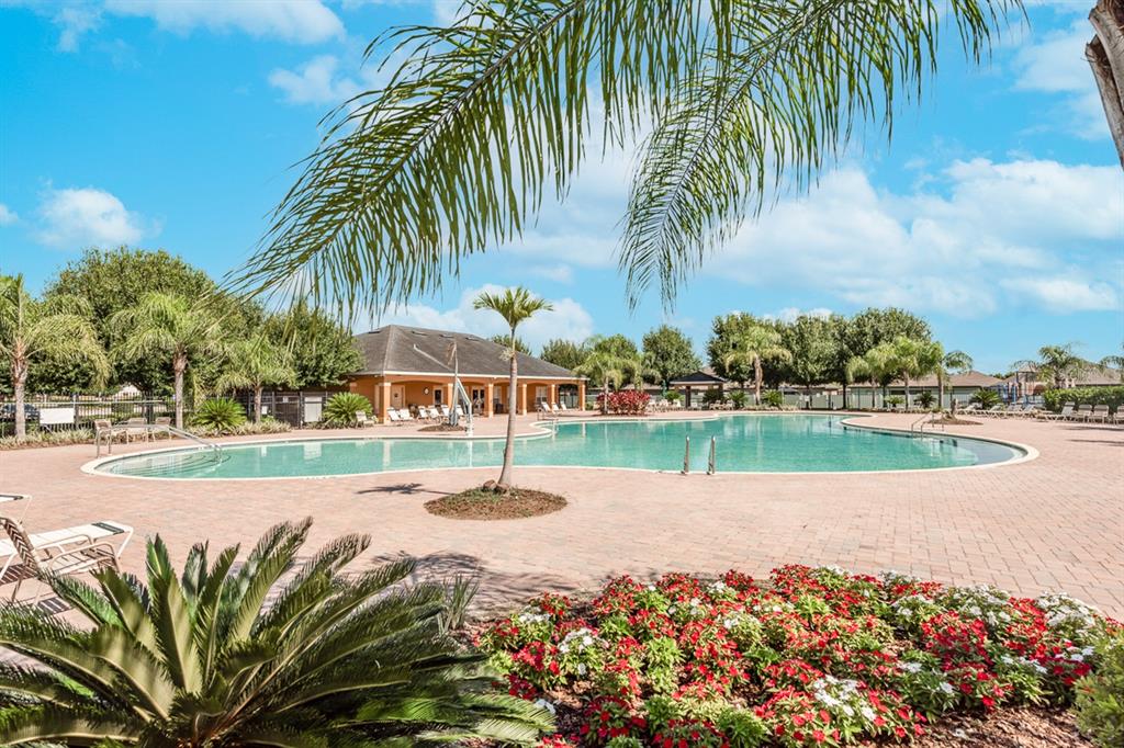 14510 Haddon Mist Drive Wimauma, FL 33598 - Photo 34 of 39 a view of a swimming pool and a yard