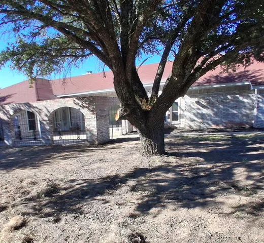 a tree in the middle of a yard