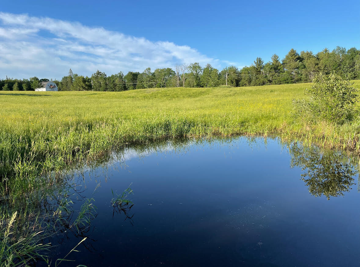 97 South Levant Road Levant, ME 04456 - Photo 23 of 61 farm pond